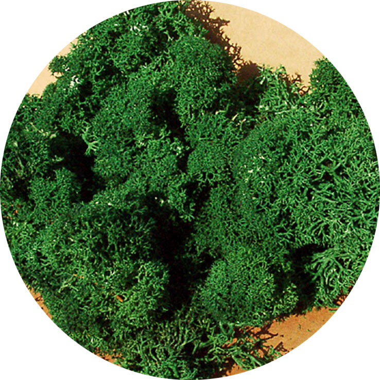 ISLANDMOOS DUNKELGRUN 75G
