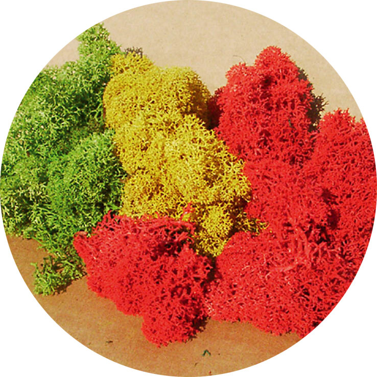 ISLANDMOOS SORTIERT 250G