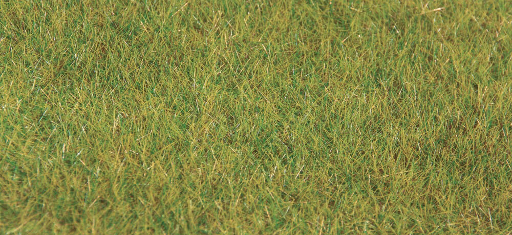 GR.FASER10MM SOMMER 50G