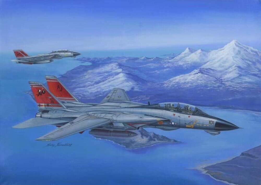 F-14D SUPER TOMCAT 1:48