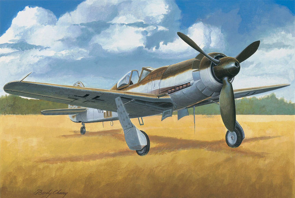 TA152 C-1 1:48