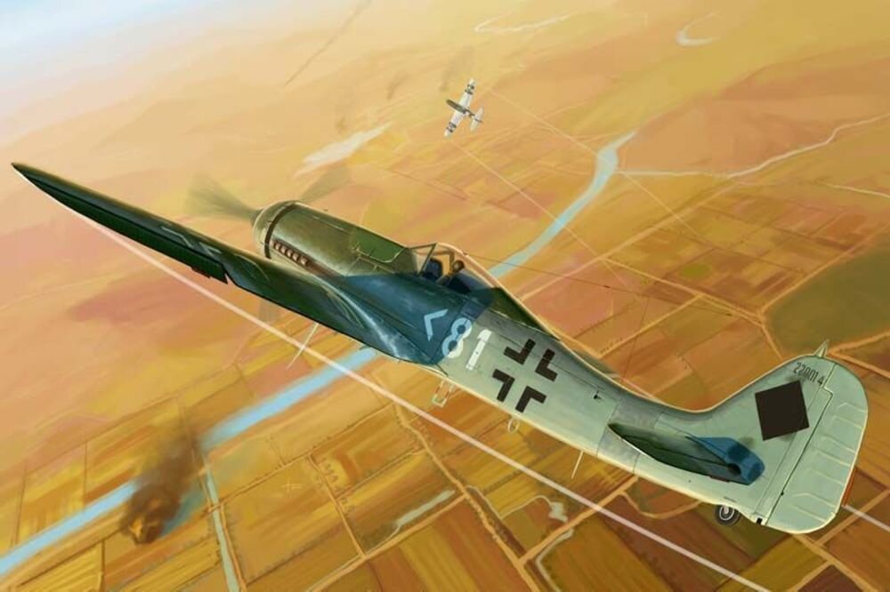 FW-190D-11 1:48