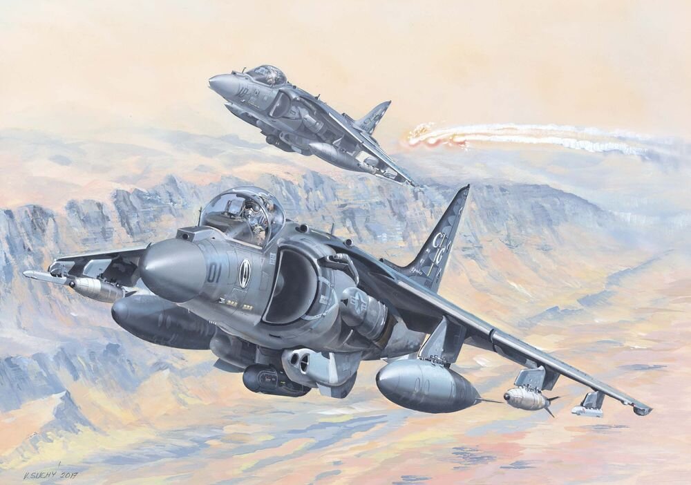 AV-8B Harrier II (2)