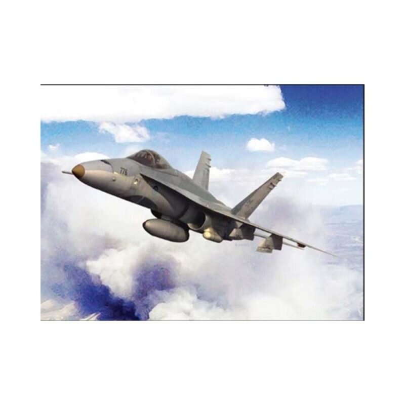 CF/F18 HORNET TERROR 1:72