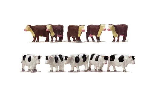 Cows (4)