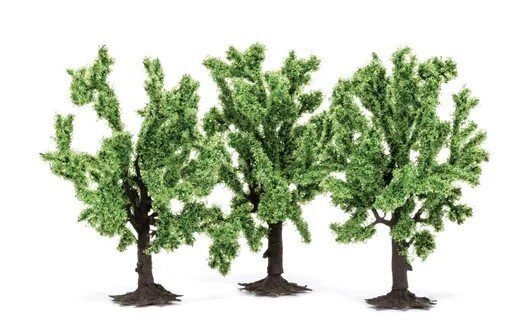 Fruit Trees