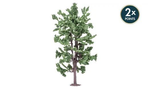 Lime Tree