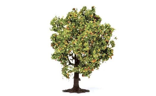 Apple Tree (with Fruit)