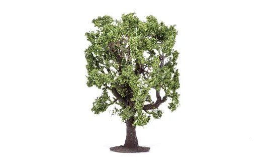 Oak Tree (1)