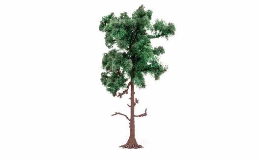 Medium Pine Tree