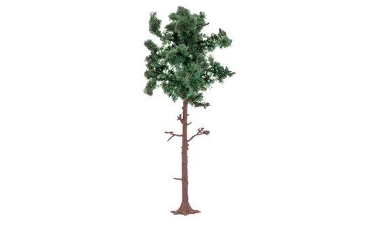 Large Pine Tree
