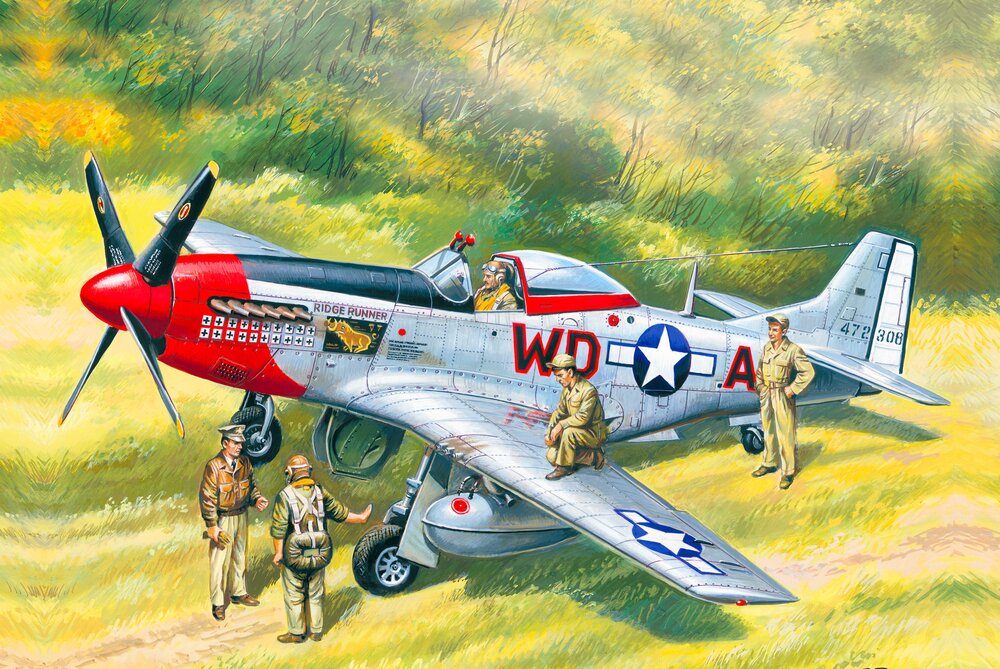 Mustang P-51D with USAAF Pilots and Ground Personnel