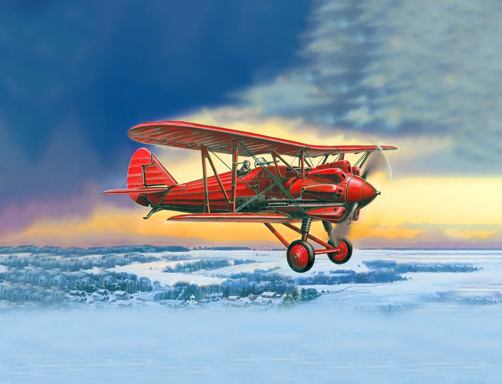 I-5 (early), Soviet Biplane Fighter