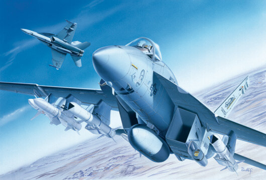 F/A-18E SUPER HORNET (2)