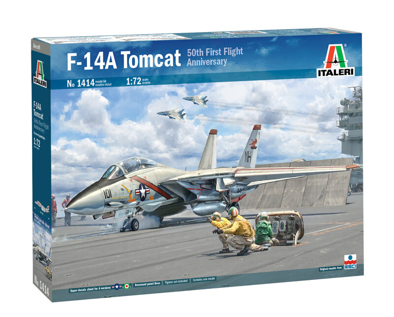 F-14A Tomcat (3)