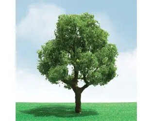DECIDUOUS 3″-3.5″ 2
