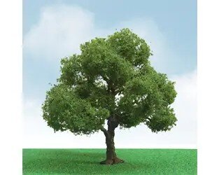 ELDER 3″-3.5″ 2