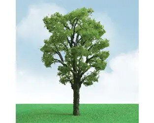 CHESTNUT 3.5″-4″ 2