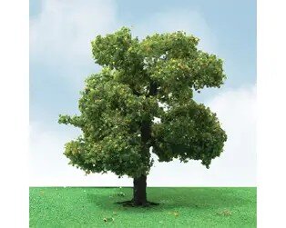 SYCAMORE 3.5″-4″ 2
