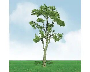 GUM TREE 3.5″-4″ 2