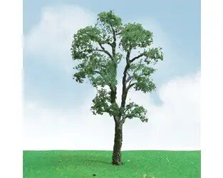 MAPLE 3.5″-4″ 2