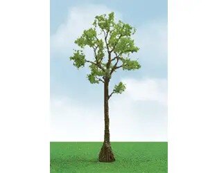 CYPRESS 5″-5.5″ 2