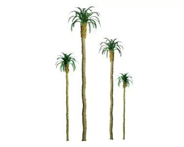 4″ Palm, 3 per pack
