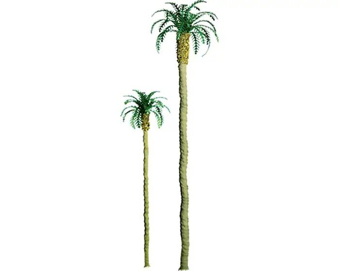 PALM 6″ 2