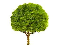 1-1/2″ Oak, 4 per pack