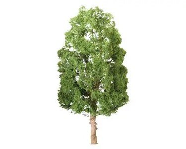 SYCAMORE N 2″ 4