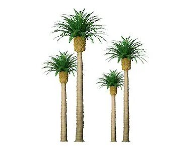 1-1/2″ Phoenix Palm, 6 per pack