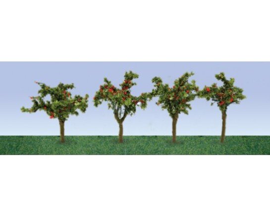 APPLE FIELD HO 12
