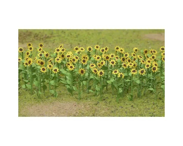SUNFLOWERS 1″ HO 16