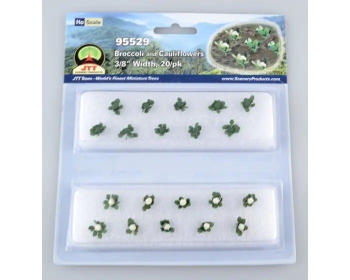 BROCC.&CAULIFL.3/8″ HO 20