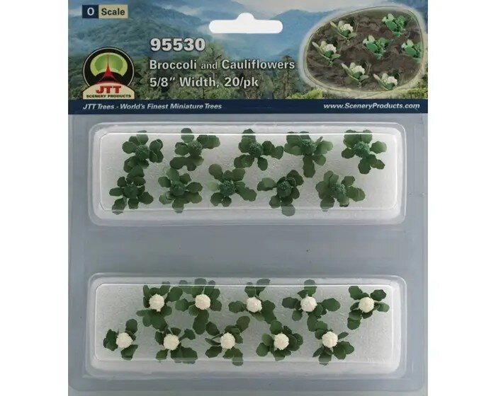 BROCC.&CAULIFL.5/8″ O 20