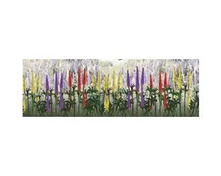 LUPINES 1/2″ HO 8PCS.
