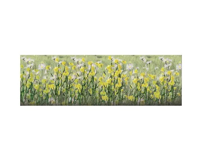 DAISIES 1/2″ HO 24