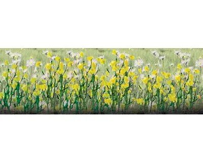 DAISIES 7/8″ O 24