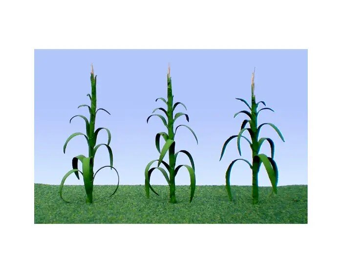 CORN STALKS HO 30