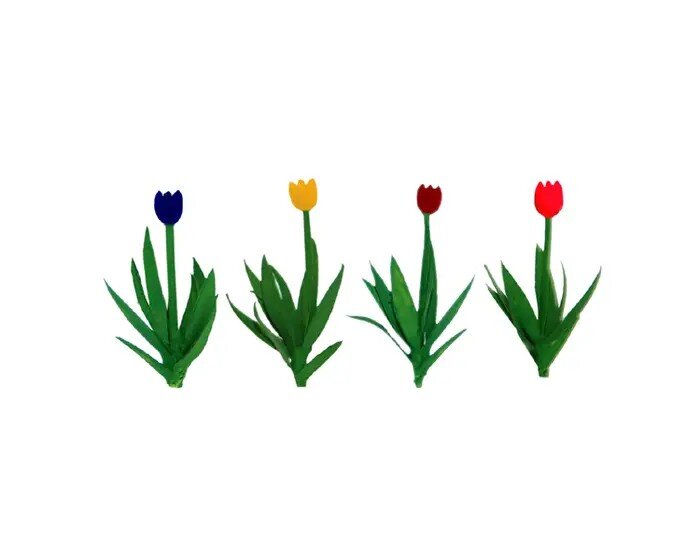 TULIPS HO 36