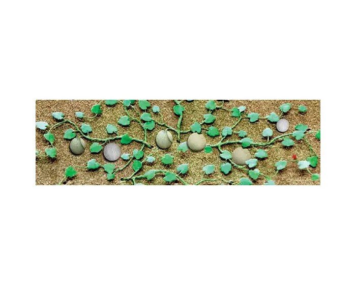 Cantaloupe Patch O Scale, 4 per pack