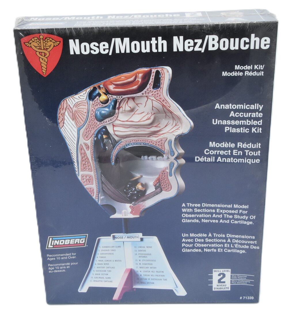 NOSE-MOUTH