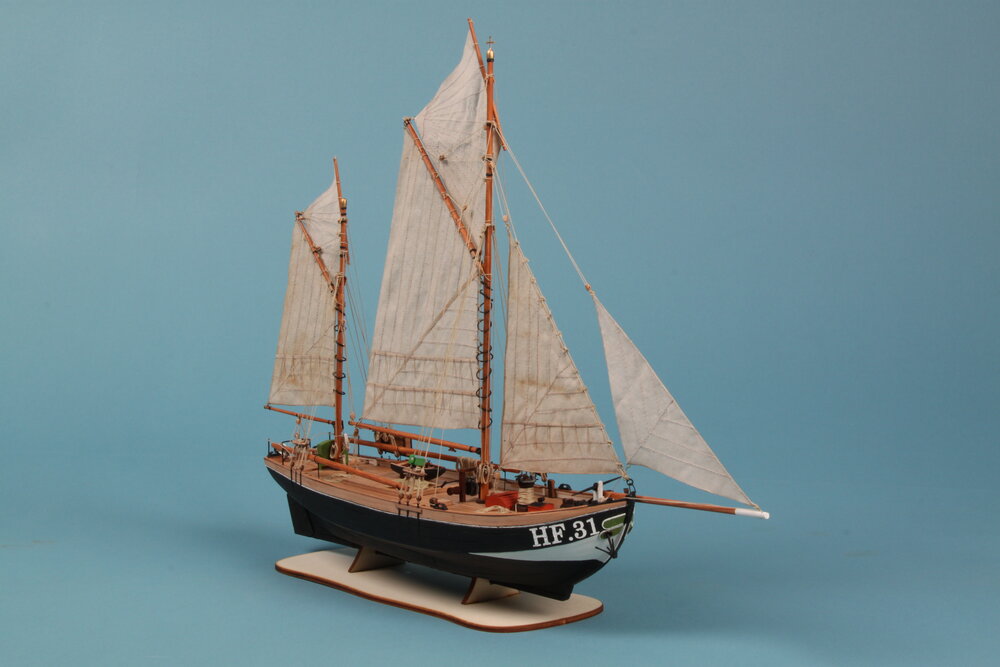 Maria HF.31