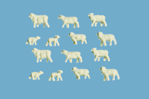 Sheep & lambs (1)