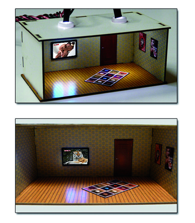 2 pcs Illuminated Rooms w/flat TVs Nature & Erotic (HO/OO kit)