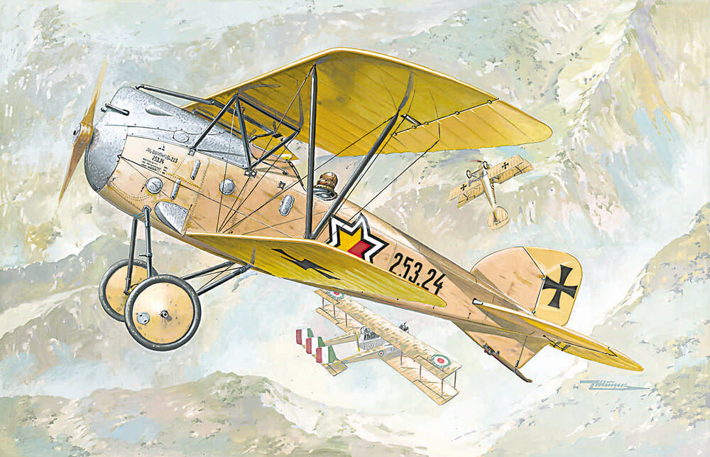 Albatros D.III Oeffag s.253