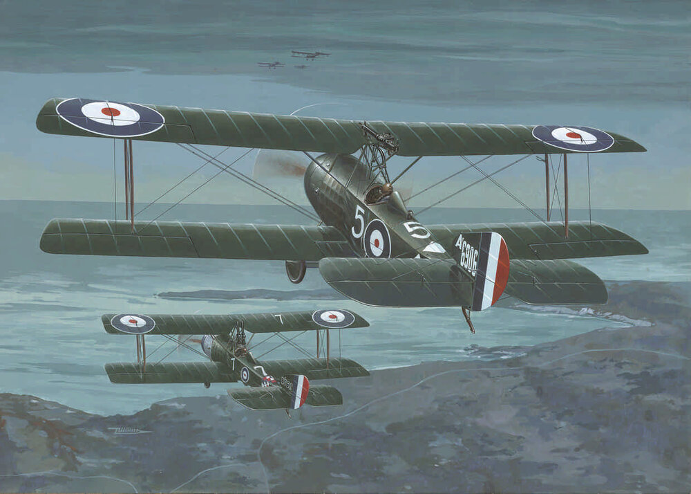 Sopwith 11/2 Strutter comic f.