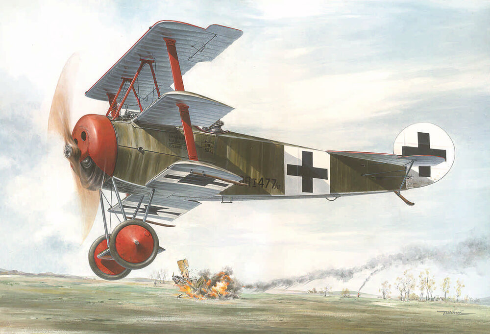 Fokker Dr.I (1)