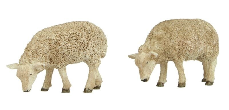 Grazing Sheep