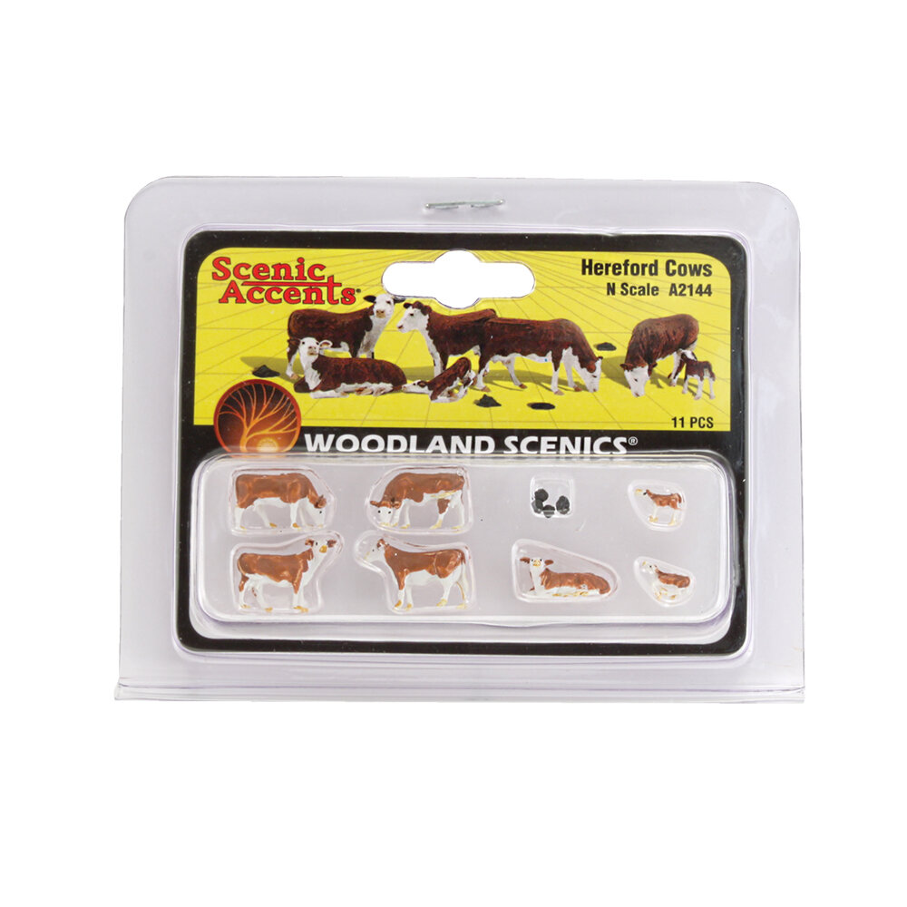 N Hereford Cows